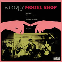 Model Shop ~ LP x1 180g